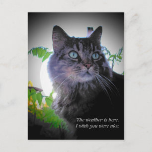 Carte Postale J'aimerais que tu sois gentil