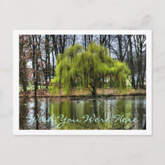 Carte Postale J'Aimerais Que Vous Étiez Ici