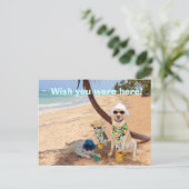 Carte Postale J'Aimerais Que Vous Étiez Ici ! (Debout devant)