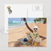 Carte Postale J'Aimerais Que Vous Étiez Ici ! (Devant / Derrière)