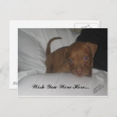 Carte Postale J'Aimerais Que Vous Soyez Ici... (Devant / Derrière)