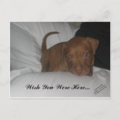 Carte Postale J'Aimerais Que Vous Soyez Ici... (Devant)