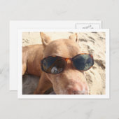 Carte Postale J'aimerais que vous soyez ici (Devant / Derrière)