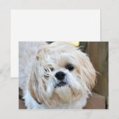 Carte Postale j'aimerais que vous soyez ici (Devant / Derrière)