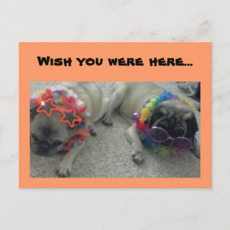 Carte Postale J'aimerais que vous soyez ici...Carte postale