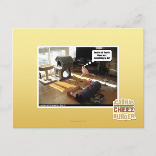 Carte Postale J'aimerais qu'il y ait quelque chose à faire (Devant)