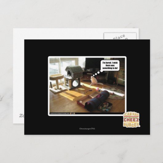 Carte Postale J'aimerais qu'il y ait quelque chose à faire (Devant / Derrière)