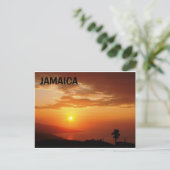 CARTE POSTALE JAMAICA (Debout devant)