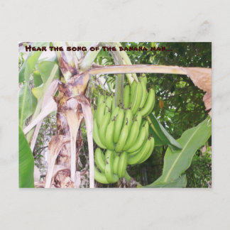 Carte postale Jamaïcaine Banana Man