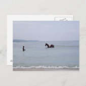 Carte postale Jamaïque (Devant / Derrière)