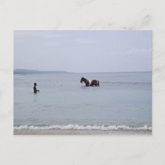 Carte postale Jamaïque (Devant)