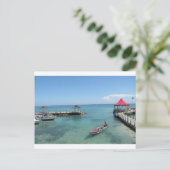 Carte Postale jamaïque (Debout devant)