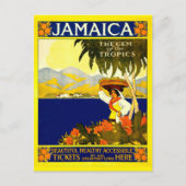 Carte Postale Jamaïque (Devant)