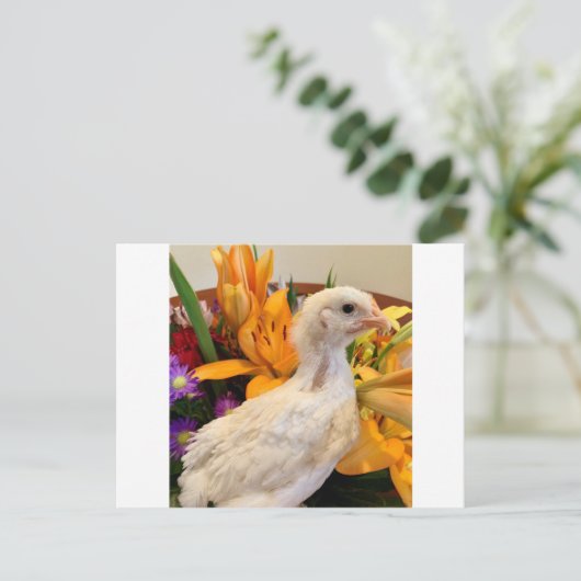 Carte Postale jambe blanche gelée (Debout devant)