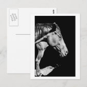 Carte Postale jambe de cheval de tête (Devant / Derrière)