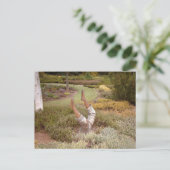 Carte Postale Jambes mystiques akimbo (Debout devant)