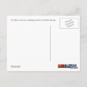 Carte Postale Jambes mystiques akimbo (Dos)