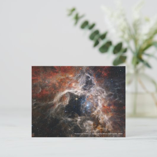 Carte Postale James Webb Tarantula Nebula Hi-Res Image 2022 (Debout devant)