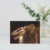 Carte Postale Jane - Vue #6 (Debout devant)