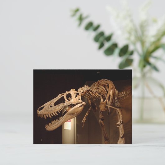 Carte Postale Jane - Vue #6 (Debout devant)