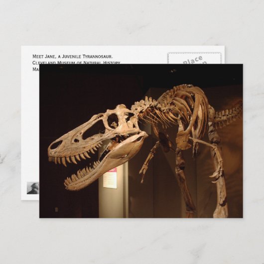 Carte Postale Jane - Vue #6 (Devant / Derrière)