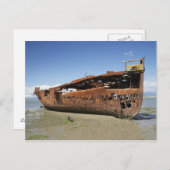 Carte Postale Janie Seddon Shipwreck, Motueka, Nelson (Devant / Derrière)