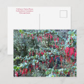 CARTE POSTALE JANVIER (Devant / Derrière)