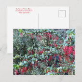 CARTE POSTALE JANVIER (Devant / Derrière)