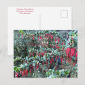 CARTE POSTALE JANVIER (Devant / Derrière)