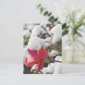 Carte postale janvier 2012 Rose (Debout devant)