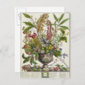 Carte Postale Janvier, de ` douze mois de fleurs (Devant / Derrière)