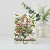 Carte Postale Janvier, de ` douze mois de fleurs (Debout devant)