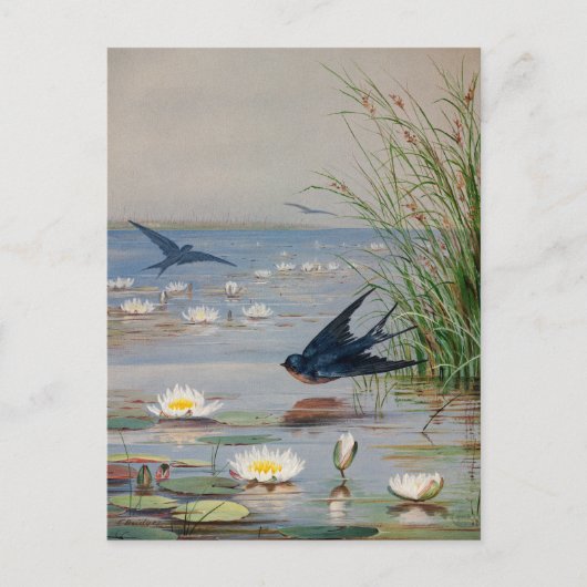 Carte Postale Janvier | Fidelia Bridges (Devant)