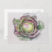 Carte Postale Janvier King Cabbage (Devant / Derrière)