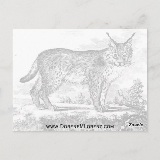 Carte Postale Janvier Susitna (Dos)