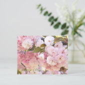 Carte Postale Japanese Cherry (Debout devant)
