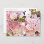 Carte Postale Japanese Cherry (Devant / Derrière)