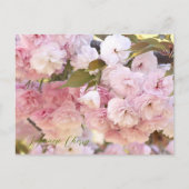 Carte Postale Japanese Cherry (Devant)