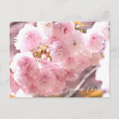 Carte Postale Japanese Cherry (Devant)