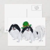 Carte Postale Japanese Chin Saint-Patrick (Devant / Derrière)