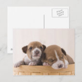 Carte Postale Japon (Devant / Derrière)