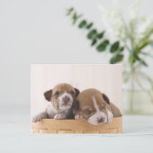 Carte Postale Japon (Debout devant)