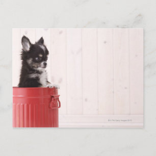 Carte Postale Japon 4