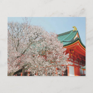 Carte Postale Japon, Kyoto. Fleur de cerisiers de Shinto