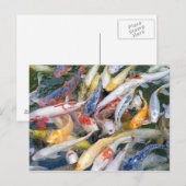 Carte Postale Japon, Tokyo, poisson de piscine gros (Devant / Derrière)