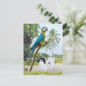 Carte Postale Japonais Chin et Macaw (Debout devant)