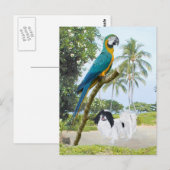 Carte Postale Japonais Chin et Macaw (Devant / Derrière)