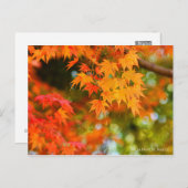 Carte postale japonaise Maple ［ (Devant / Derrière)