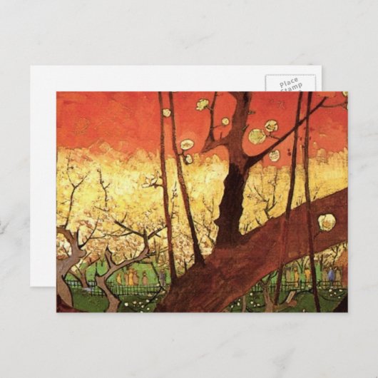 Carte Postale Japonisme : Arbre à prune fleuri par Vincent van G (Devant / Derrière)