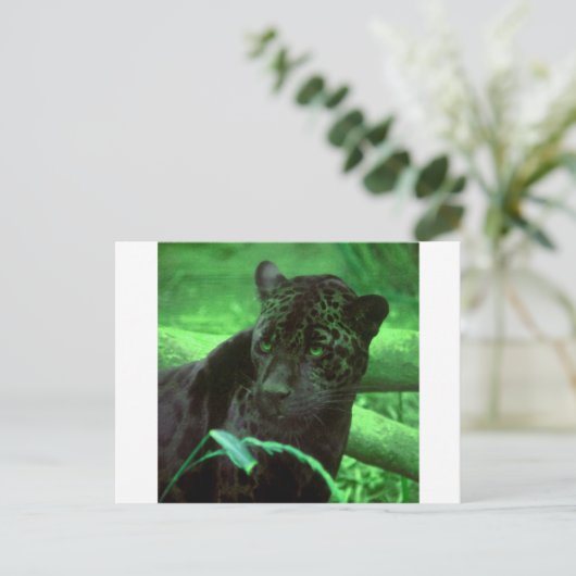 Carte Postale Jaquar noir panthère en vert (Debout devant)